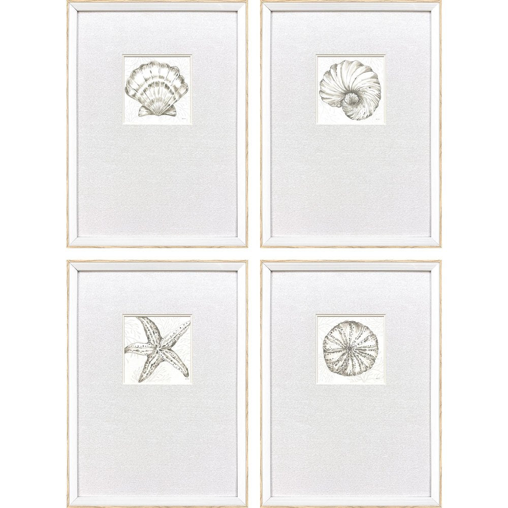 Set Of Four Coastal Reef White Framed Wall Art HomeRoots