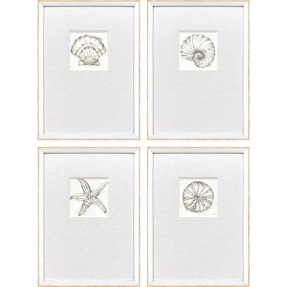 Set Of Four Coastal Reef White Framed Wall Art HomeRoots