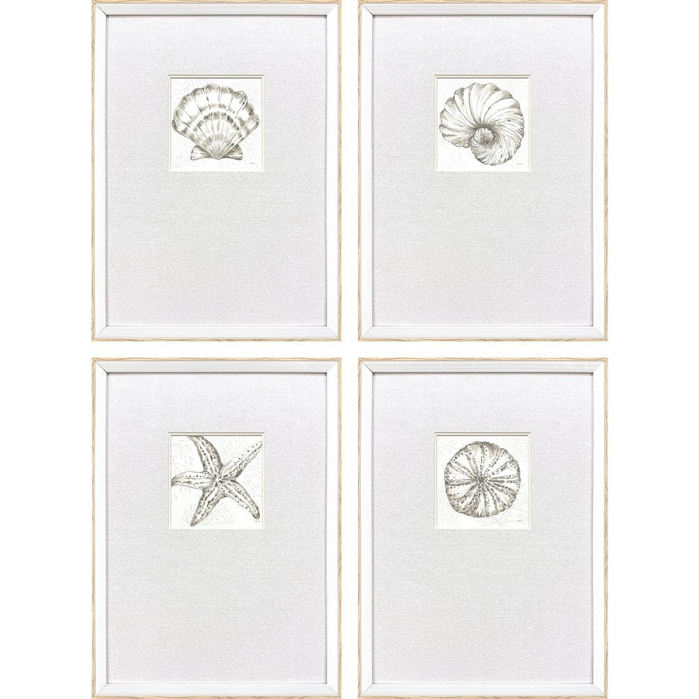 Set Of Four Coastal Reef White Framed Wall Art HomeRoots