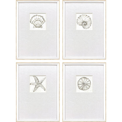 Set Of Four Coastal Reef White Framed Wall Art HomeRoots