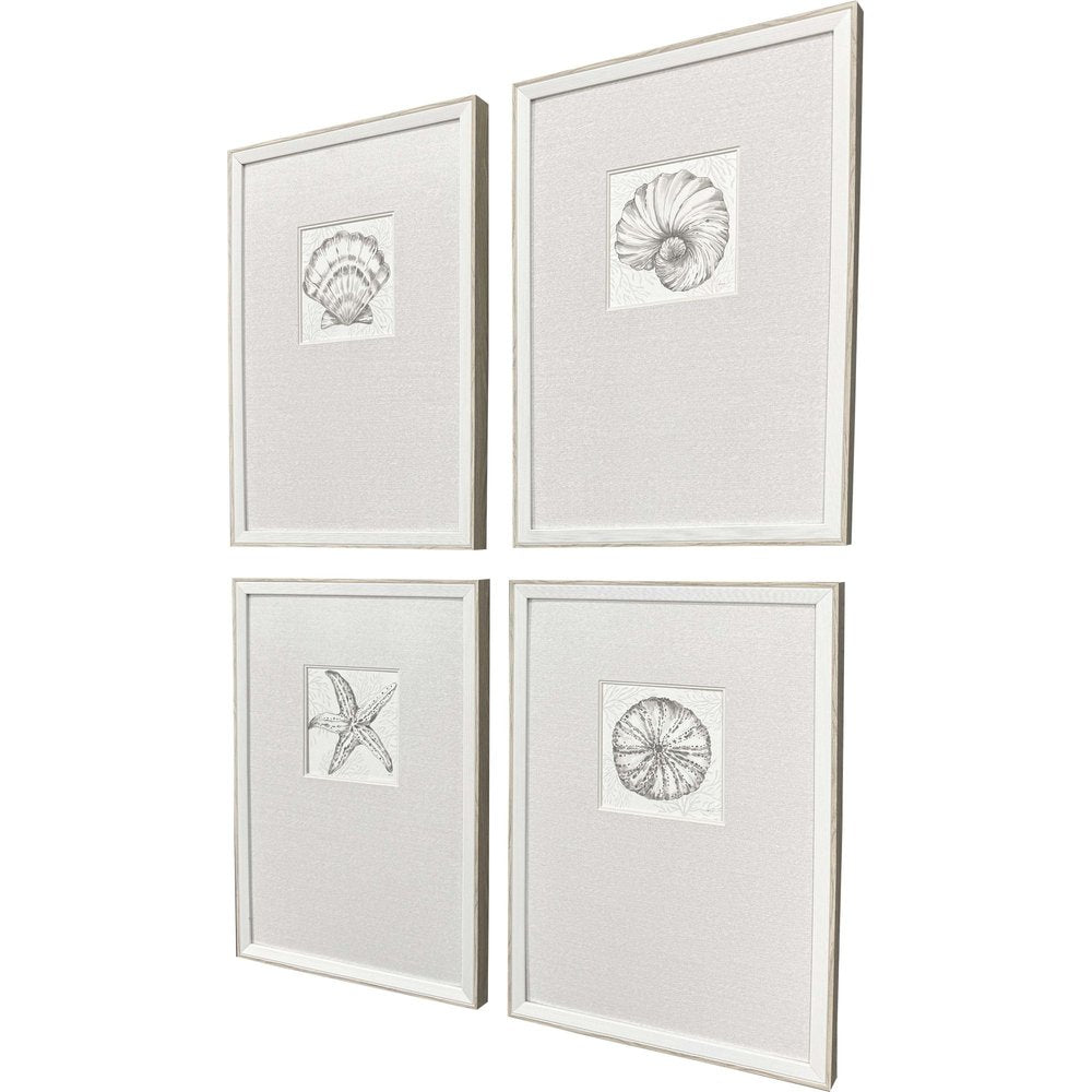 Set Of Four Coastal Reef White Framed Wall Art HomeRoots