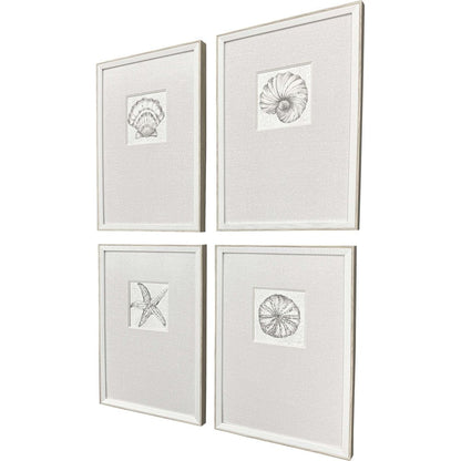 Set Of Four Coastal Reef White Framed Wall Art HomeRoots