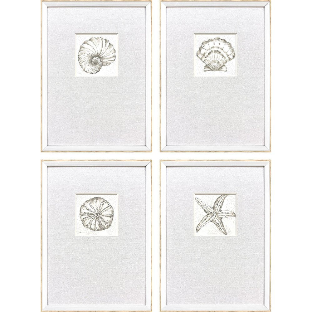 Set Of Four Coastal Reef White Framed Wall Art HomeRoots