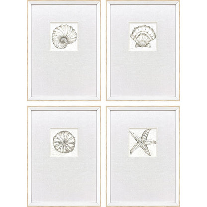 Set Of Four Coastal Reef White Framed Wall Art HomeRoots