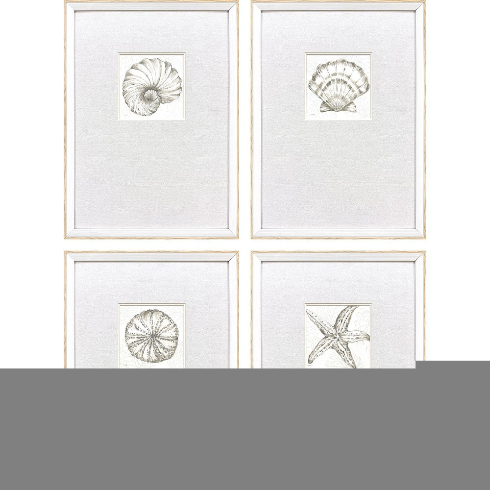 Set Of Four Coastal Reef White Framed Wall Art HomeRoots