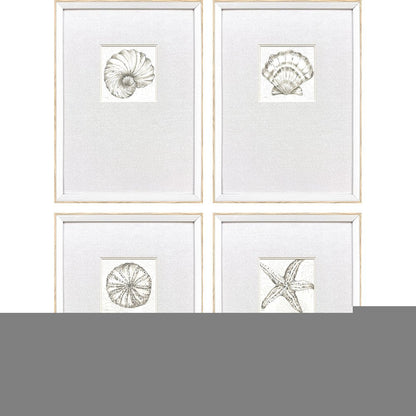 Set Of Four Coastal Reef White Framed Wall Art HomeRoots
