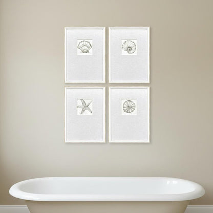 Set Of Four Coastal Reef White Framed Wall Art HomeRoots