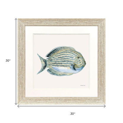 Coastal Bliss III Distressed White Framed Wall Art HomeRoots