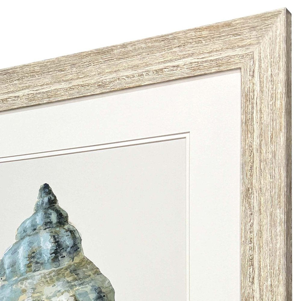 Coastal Bliss IV Distressed White Framed Wall Art HomeRoots
