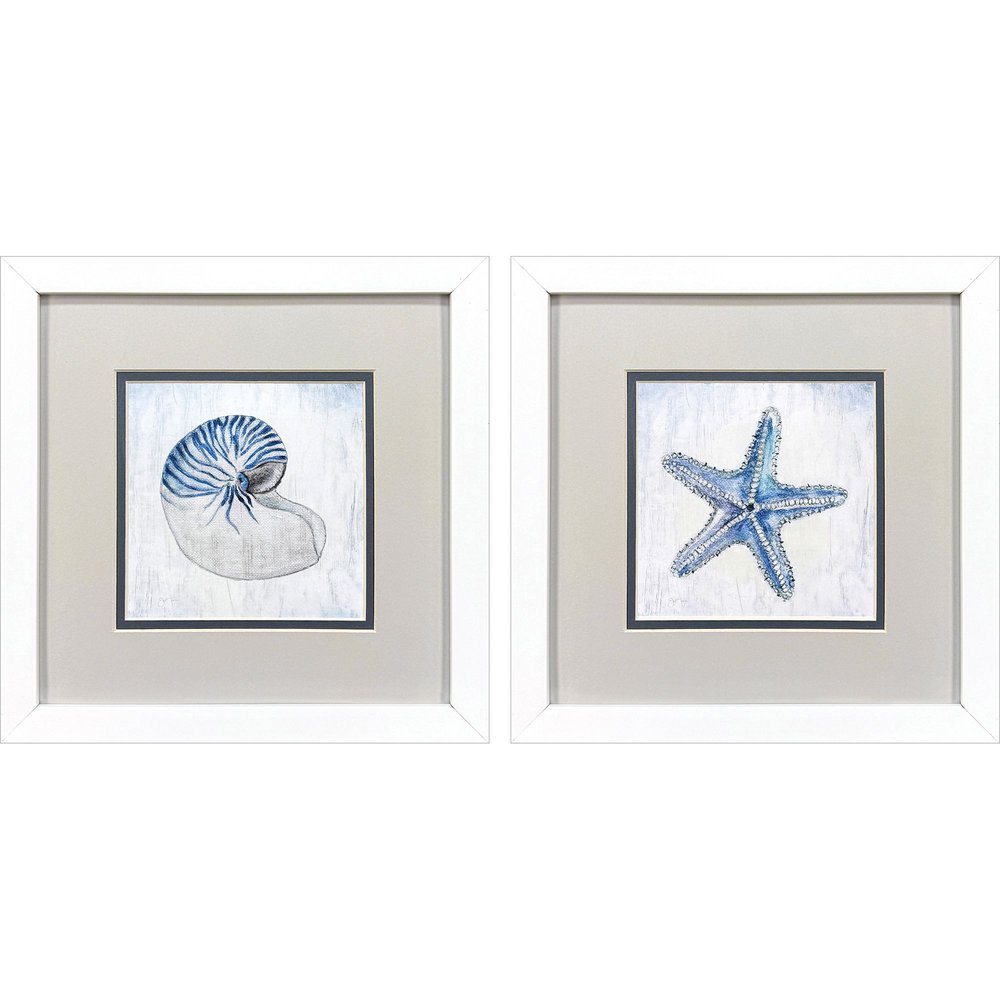Set Of Two Azure Shell White Framed Wall Art HomeRoots