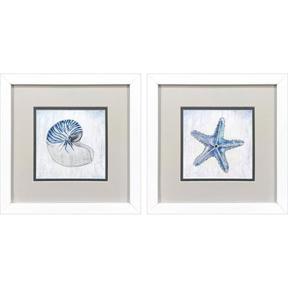 Set Of Two Azure Shell White Framed Wall Art HomeRoots
