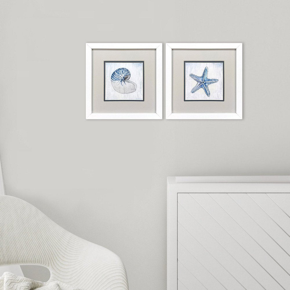Set Of Two Azure Shell White Framed Wall Art HomeRoots