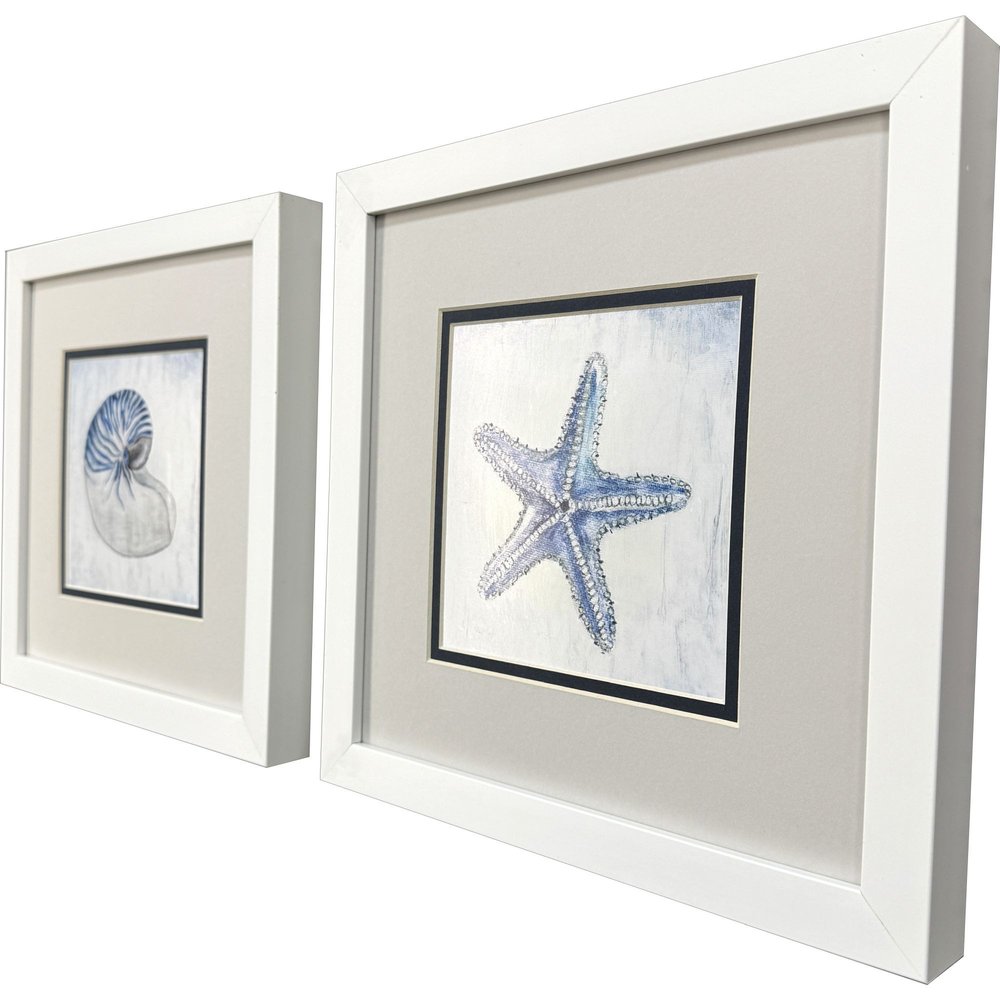 Set Of Two Azure Shell White Framed Wall Art HomeRoots