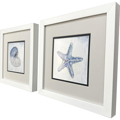 Set Of Two Azure Shell White Framed Wall Art HomeRoots