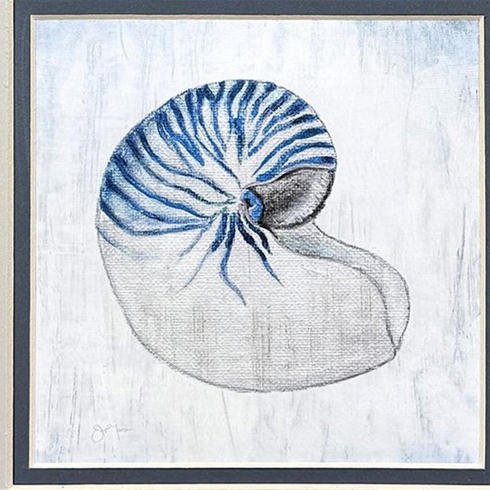 Set Of Two Azure Shell White Framed Wall Art HomeRoots