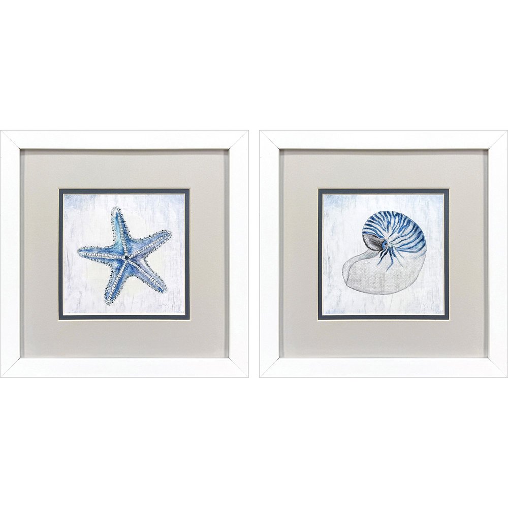 Set Of Two Azure Shell White Framed Wall Art HomeRoots