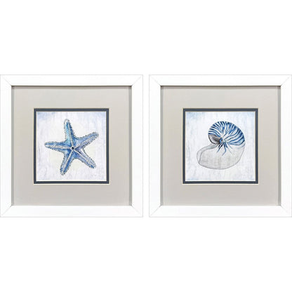 Set Of Two Azure Shell White Framed Wall Art HomeRoots