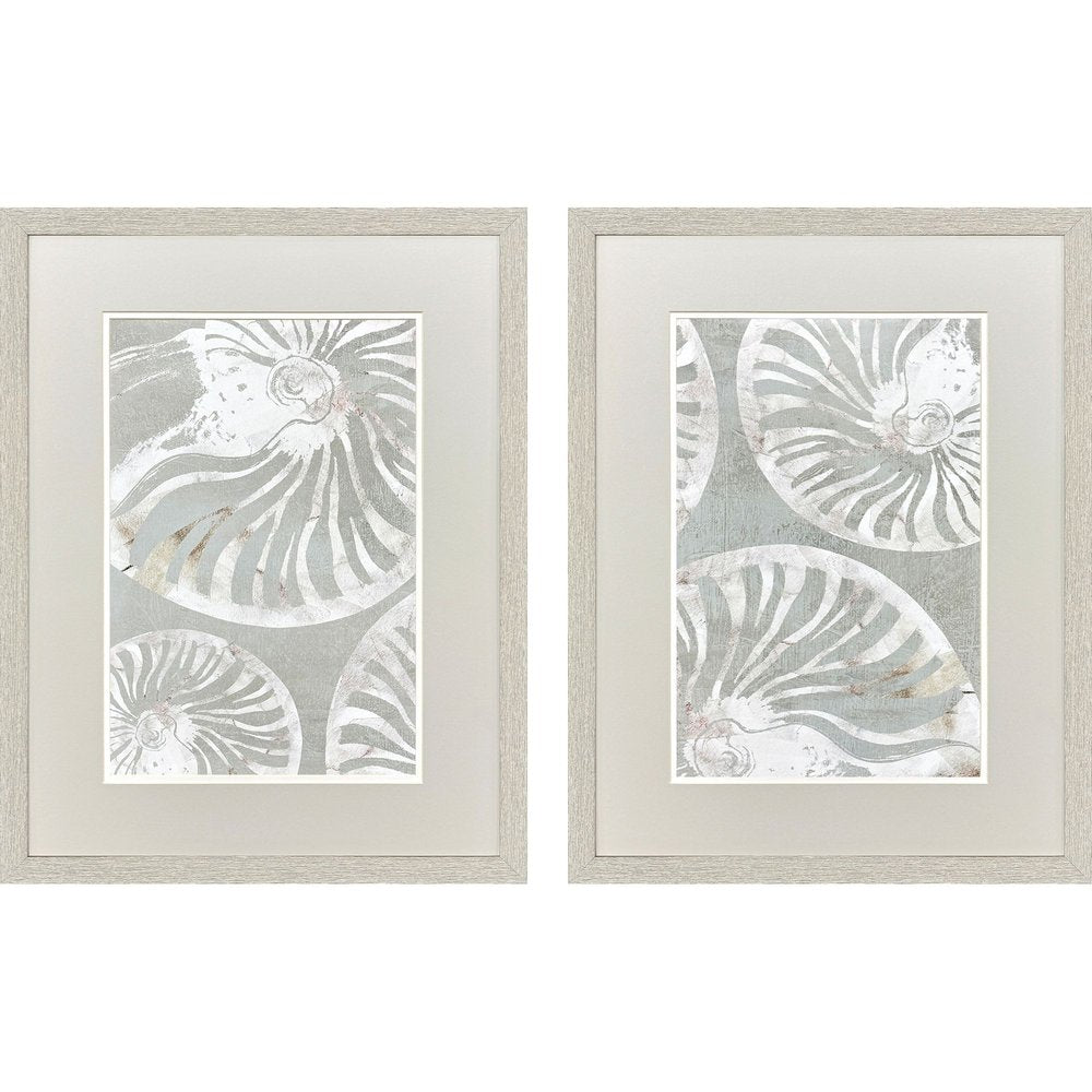 Set Of Two Nautilus Shell Distressed White Framed Wall Art HomeRoots