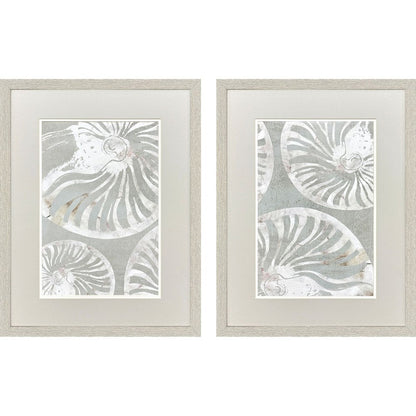 Set Of Two Nautilus Shell Distressed White Framed Wall Art HomeRoots