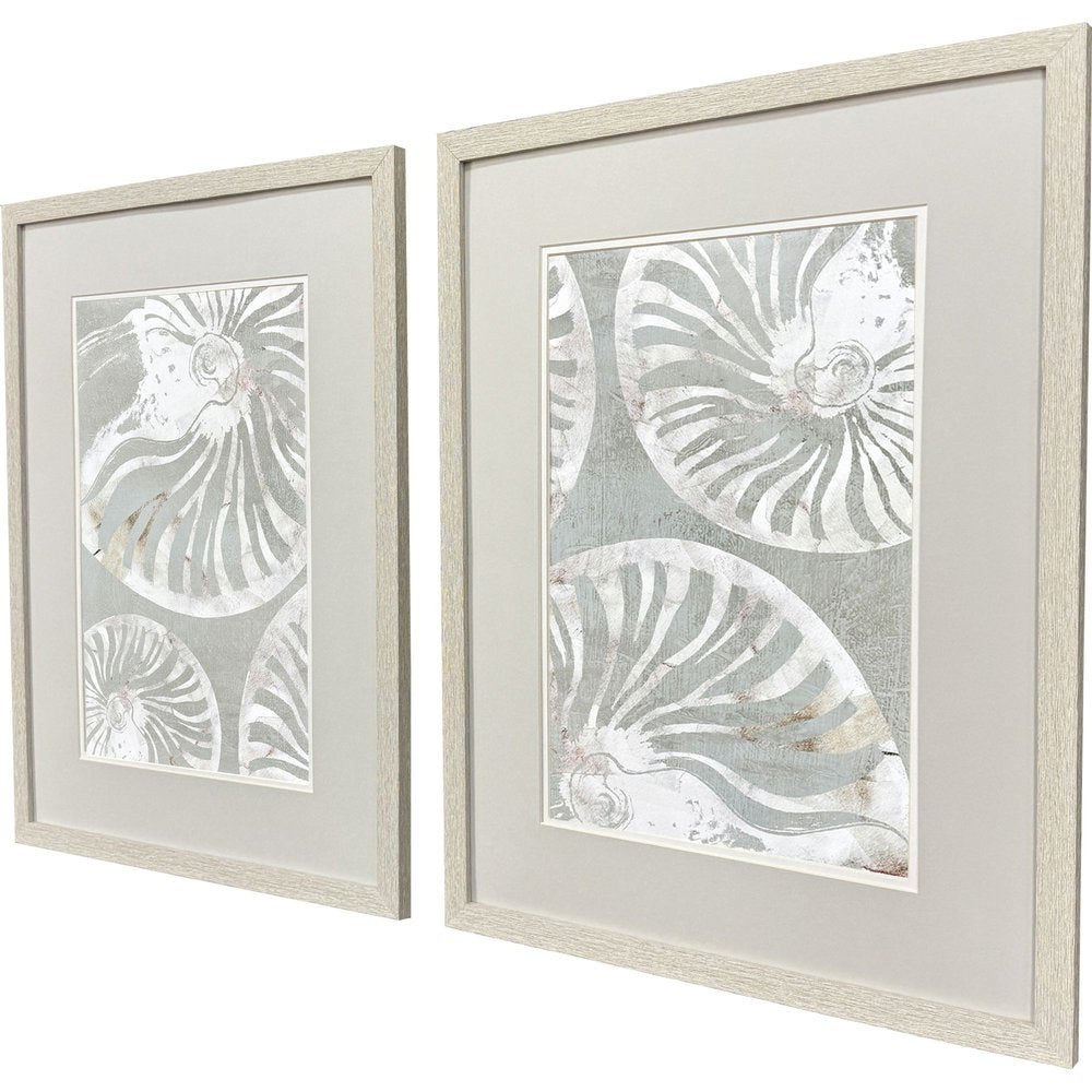 Set Of Two Nautilus Shell Distressed White Framed Wall Art HomeRoots