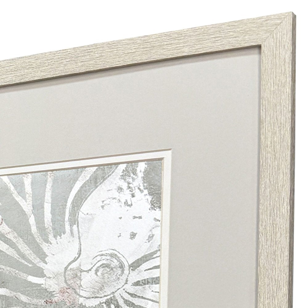 Set Of Two Nautilus Shell Distressed White Framed Wall Art HomeRoots