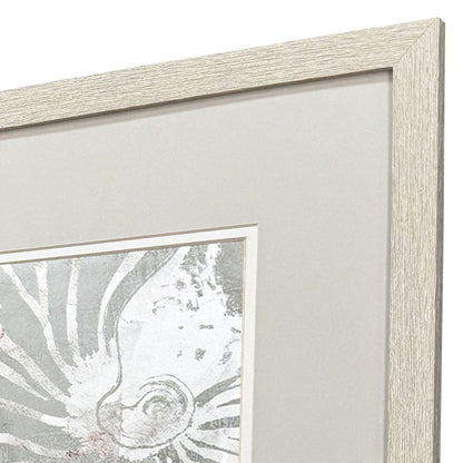 Set Of Two Nautilus Shell Distressed White Framed Wall Art HomeRoots