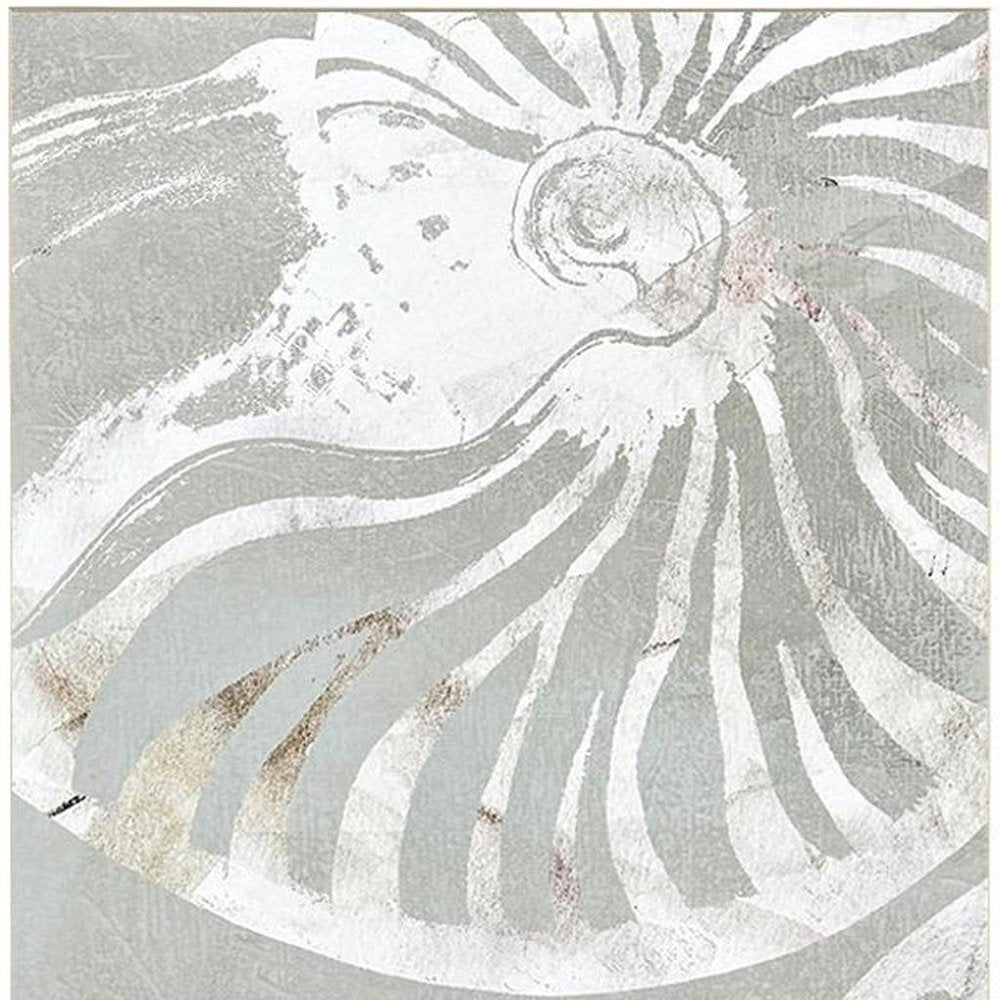 Set Of Two Nautilus Shell Distressed White Framed Wall Art HomeRoots