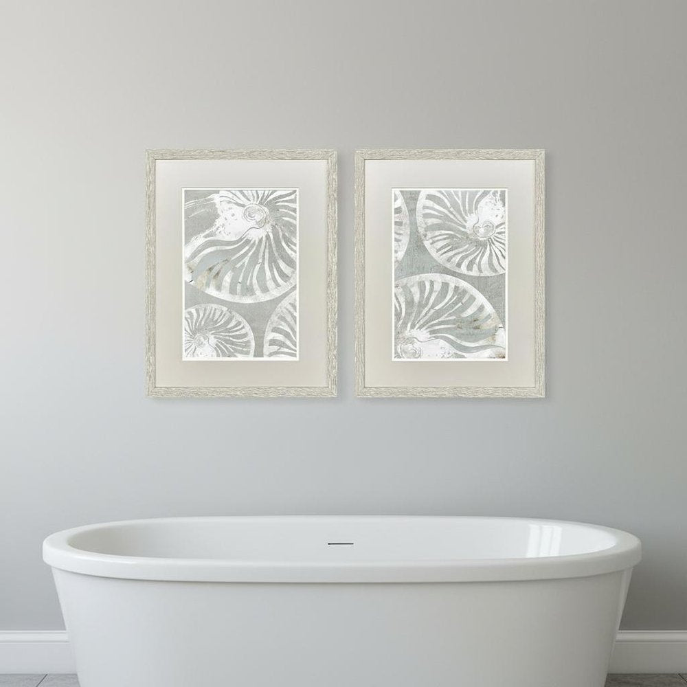 Set Of Two Nautilus Shell Distressed White Framed Wall Art HomeRoots