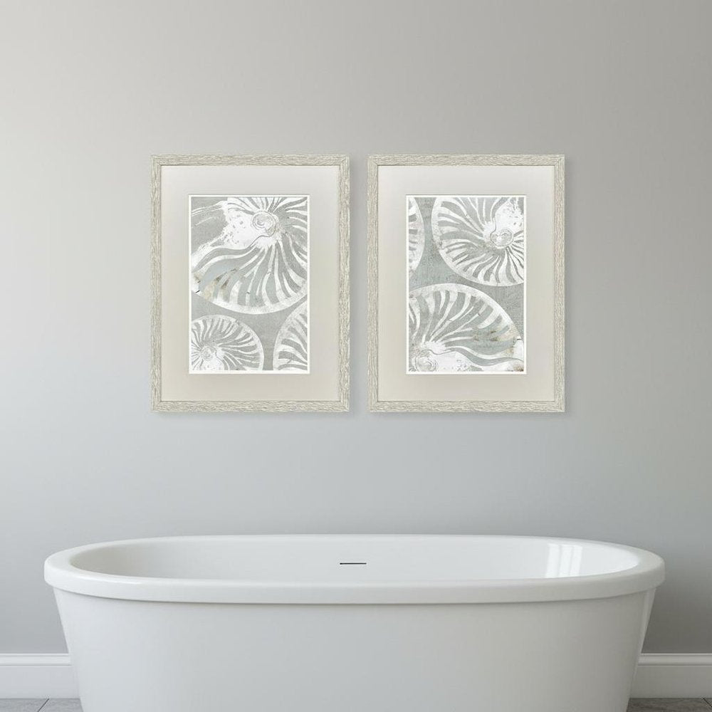 Set Of Two Nautilus Shell Distressed White Framed Wall Art HomeRoots