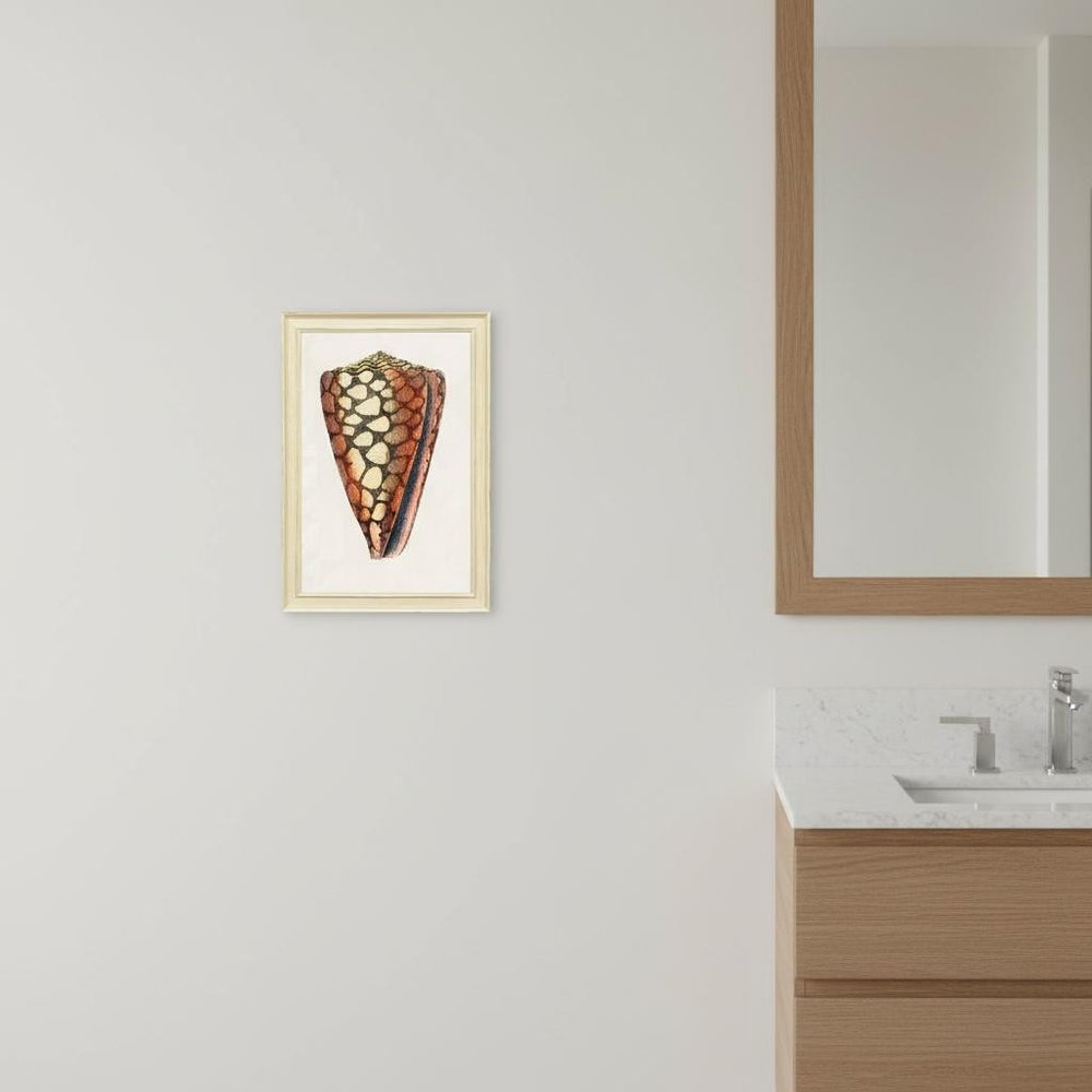 Conch Study I Distressed White Framed Wall Art HomeRoots