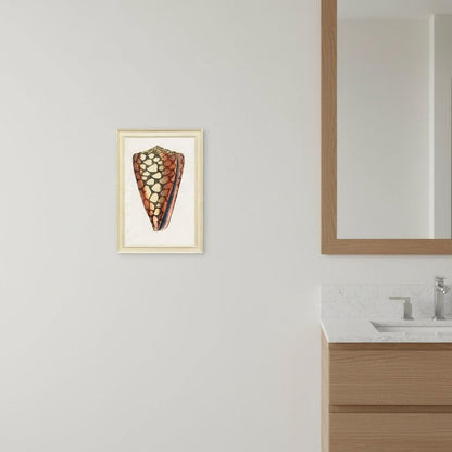 Conch Study I Distressed White Framed Wall Art HomeRoots