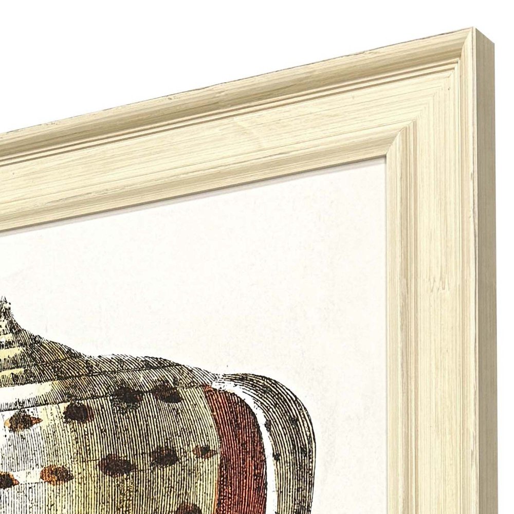 Conch Study II Distressed White Framed Wall Art HomeRoots