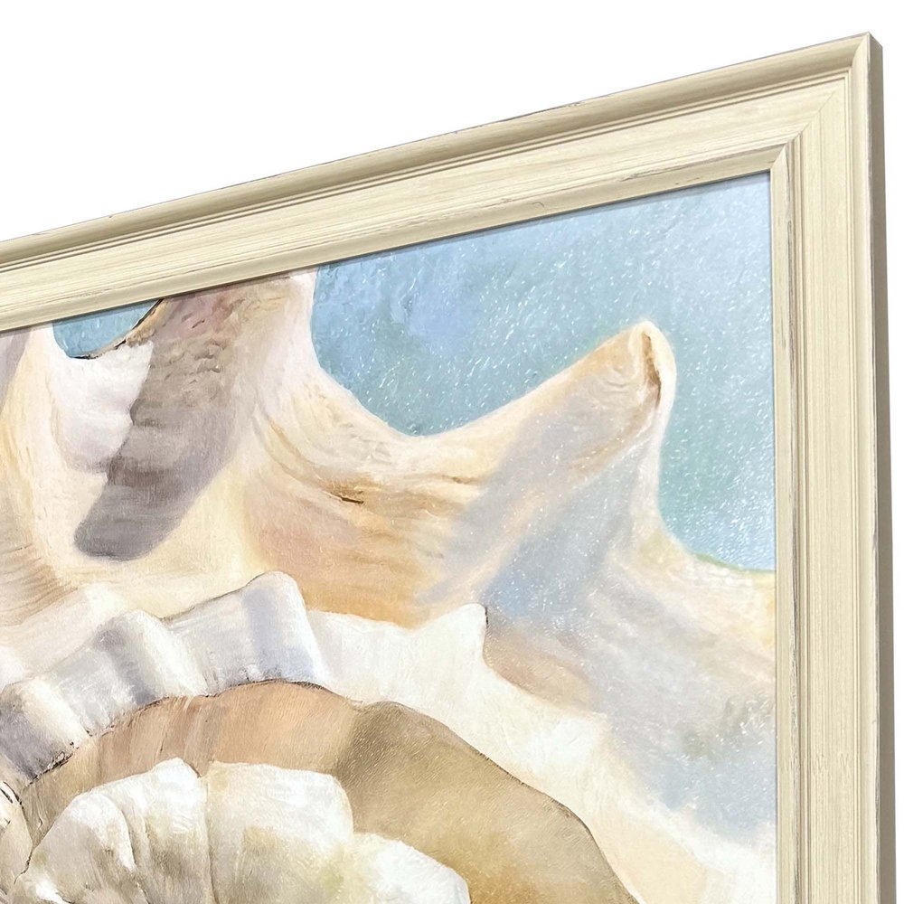 Center Shell Distressed White Framed Wall Art HomeRoots