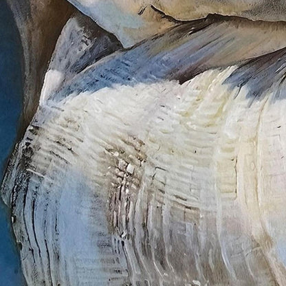 Center Shell Distressed White Framed Wall Art HomeRoots