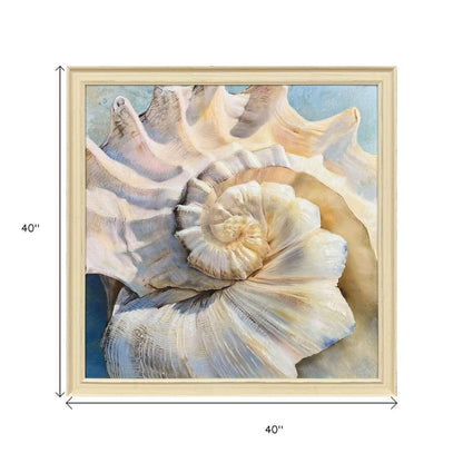 Center Shell Distressed White Framed Wall Art HomeRoots