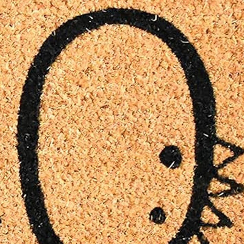 24" X 36" Black And Natural Halloween Outdoor Coir Door Mat HomeRoots