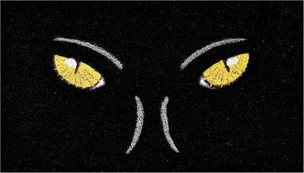 17" X 29" Black And White Halloween Black Cat Outdoor Coir Door Mat