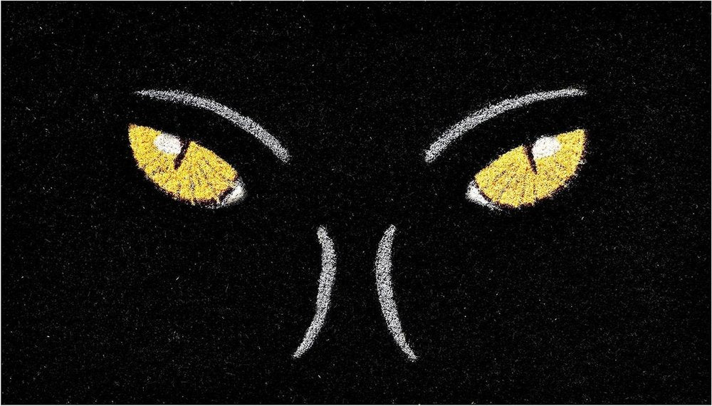 17" X 29" Black And White Halloween Black Cat Outdoor Coir Door Mat