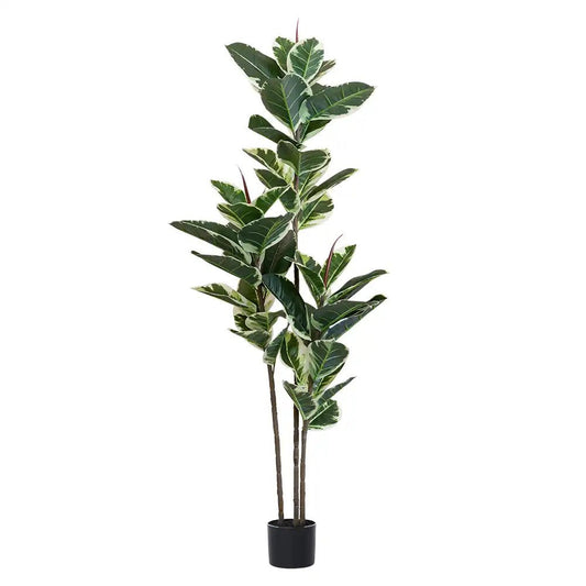 63" Green Artificial Rubber Tree In Cylindrical Black Cement Pot HomeRoots