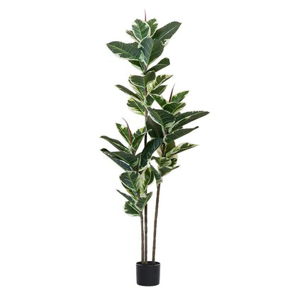63" Green Artificial Rubber Tree In Cylindrical Black Cement Pot HomeRoots