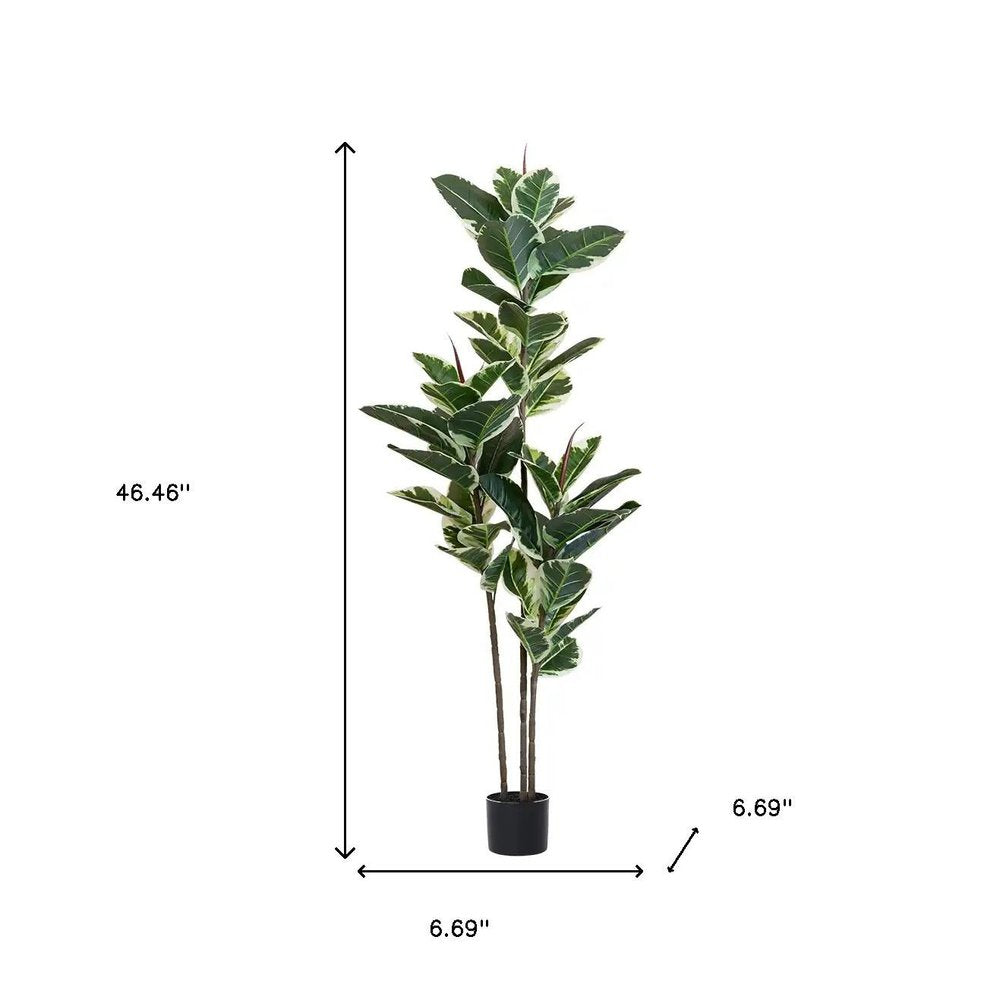 63" Green Artificial Rubber Tree In Cylindrical Black Cement Pot HomeRoots
