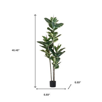 63" Green Artificial Rubber Tree In Cylindrical Black Cement Pot HomeRoots