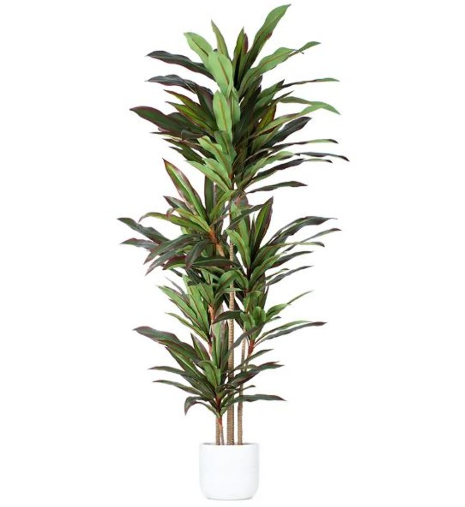 7" Green Artificial Dracaena In Cylindrical Black Cement Pot HomeRoots