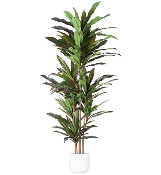 7" Green Artificial Dracaena In Cylindrical Black Cement Pot HomeRoots
