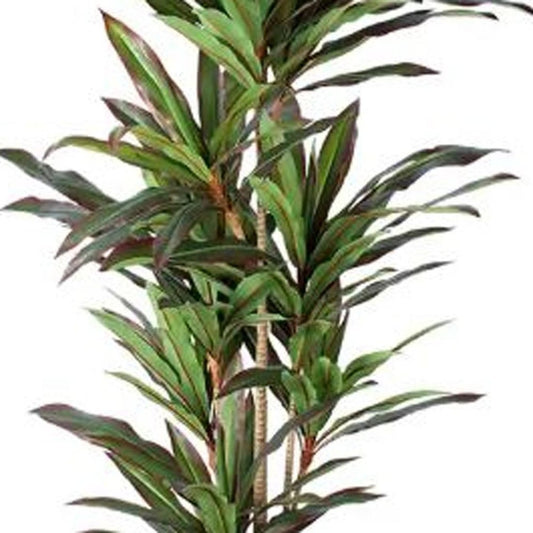 7" Green Artificial Dracaena In Cylindrical Black Cement Pot HomeRoots
