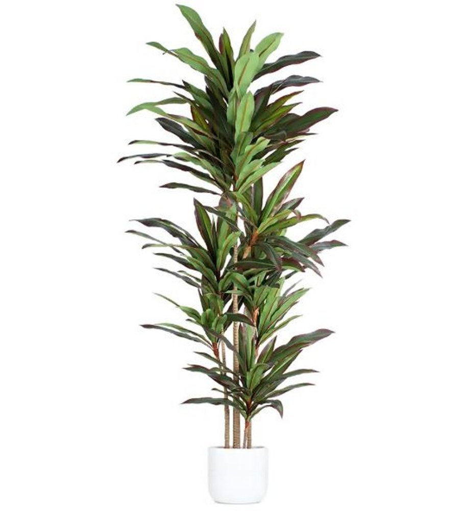 7" Green Artificial Dracaena In Cylindrical Black Cement Pot HomeRoots