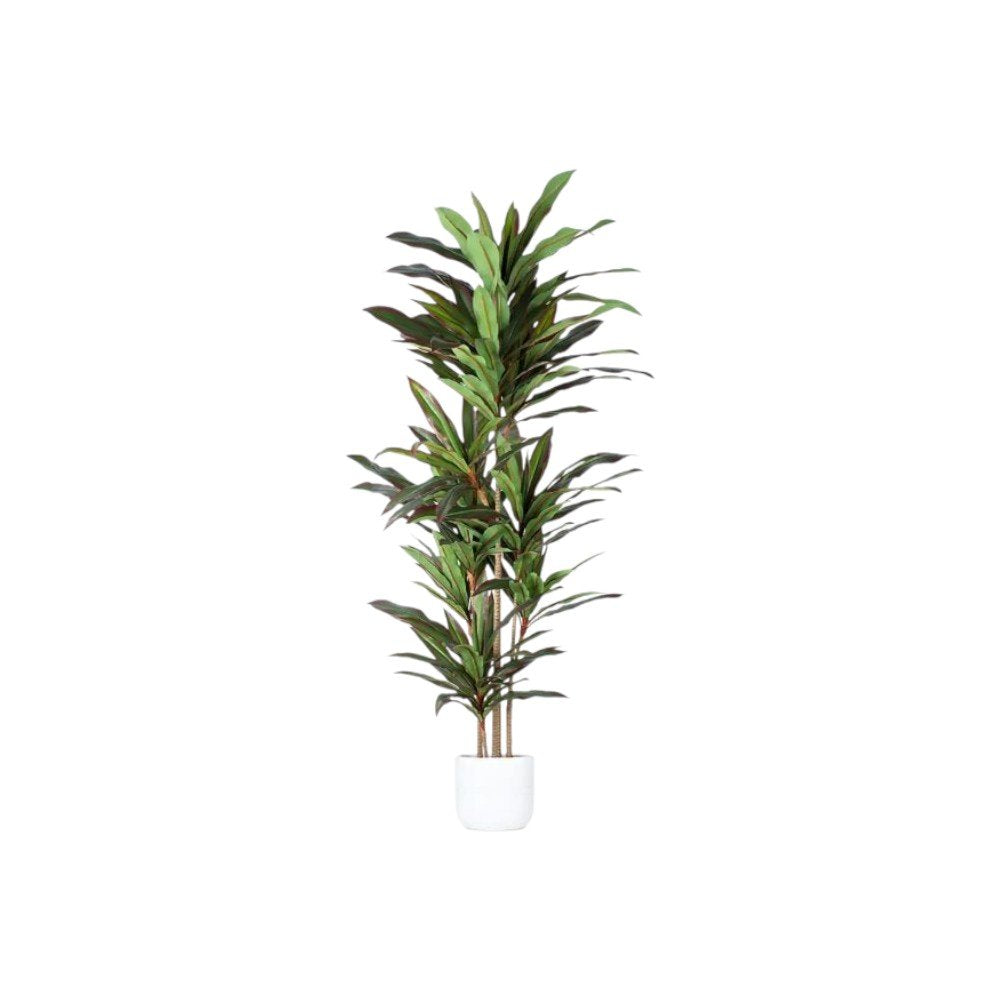 7" Green Artificial Dracaena In Cylindrical Black Cement Pot HomeRoots