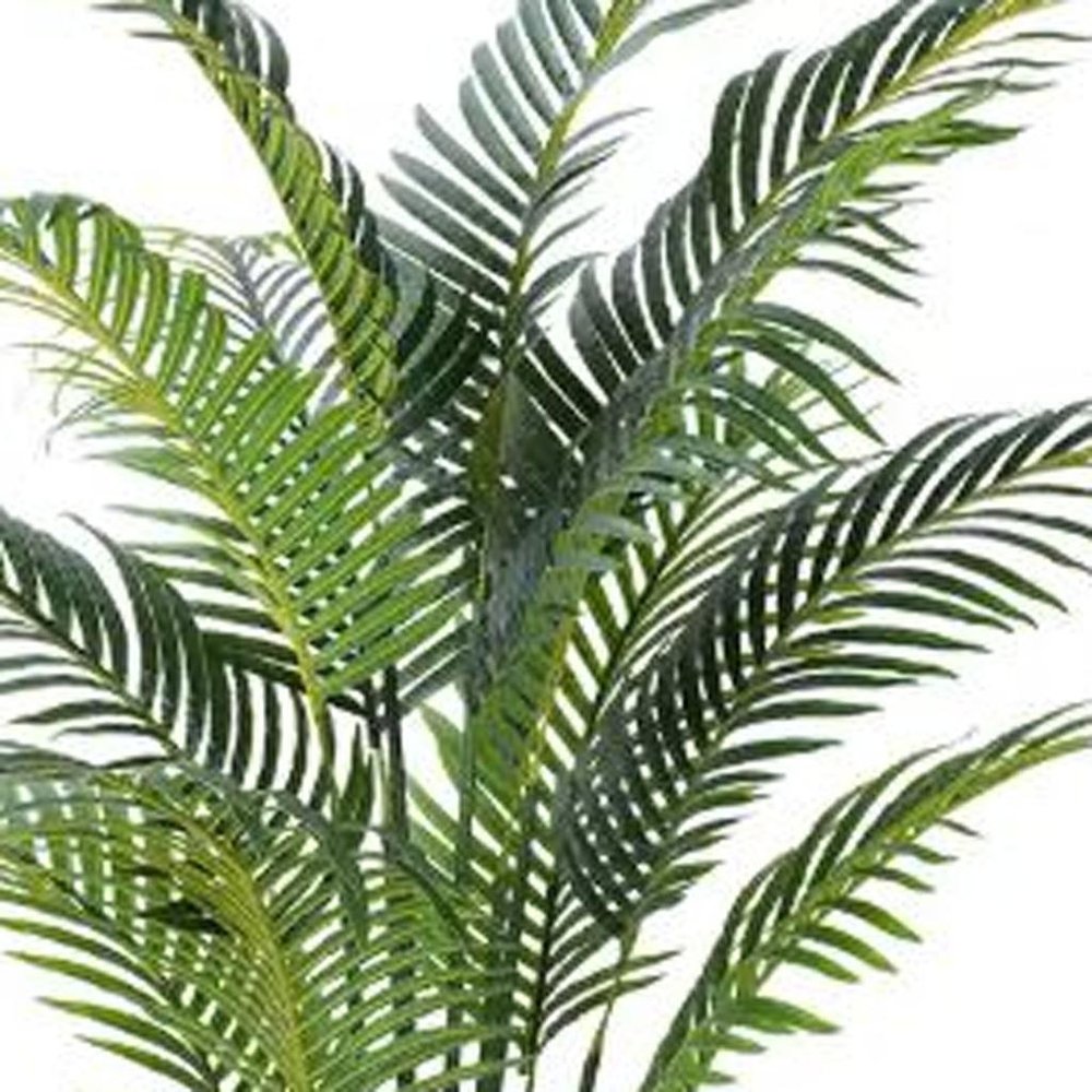 59" Green Artificial Palm Tree In Cylindrical Black Cement Pot HomeRoots
