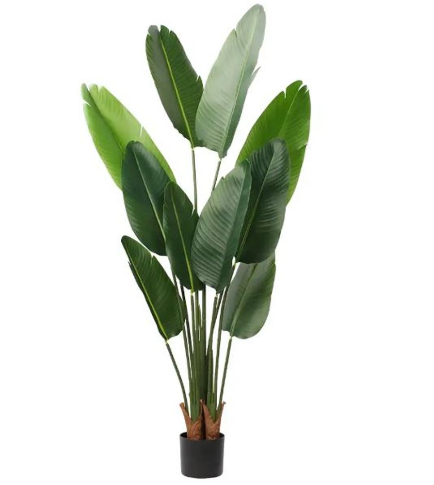 63" Green Artificial Banana Leaf Tree In Cylindrical Black Cement Pot HomeRoots
