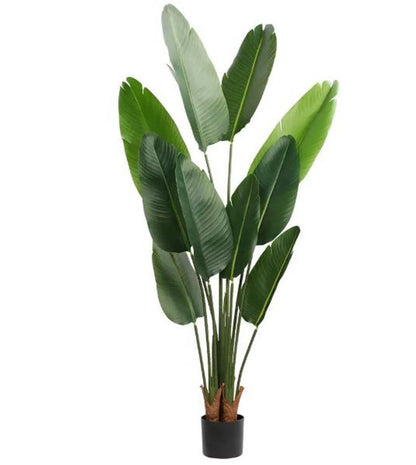63" Green Artificial Banana Leaf Tree In Cylindrical Black Cement Pot HomeRoots